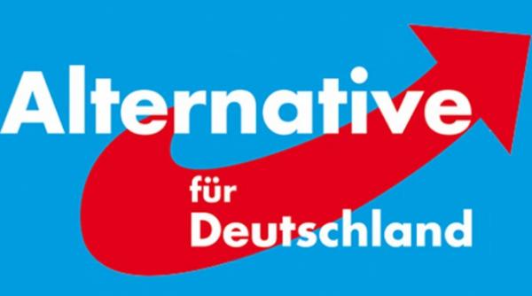 mai multi responsabili ai afd au anuntat ca parasesc partidul din cauza virajului spre extrema dreapta