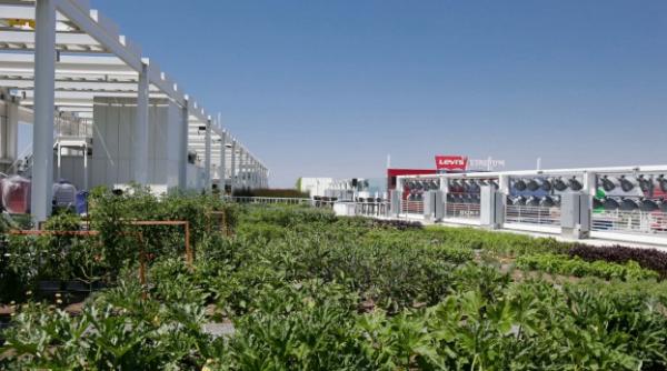 postasii din franta cultiva legume si cresc gaini pe acoperisul sediului postei din paris