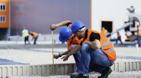 puii de constructori greu de scolit greu de adus la munca