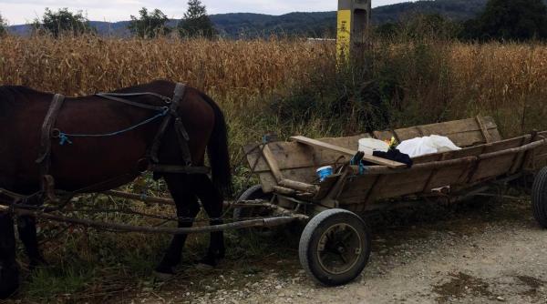 marturia cutremuratoare a bunicului copilului mort in groaznicul accident de tren din neamt bunicule eu ma culc culca te tataie