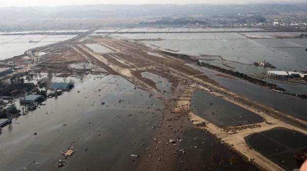 milioane de creaturi marine au ajuns in sua pana acum dupa tsunamiul din japonia din 2011