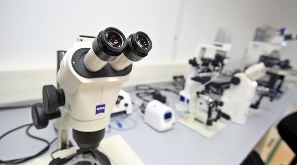 timis primele trei alergene majore din ambrozie au fost clonate in premiera nationala la oncogen