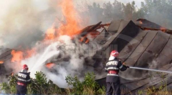 buzau incendiu generalizat la o hala industriala din localitatea spataru