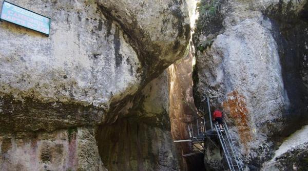 un barbat a murit dupa ce a cazut peste el un copac in canionul 7 scari