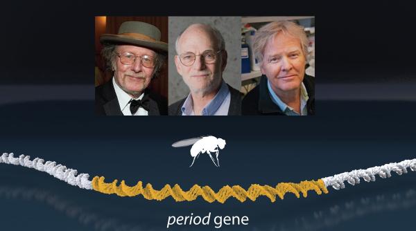 premiul nobel 2017 pentru medicina castigat de 3 americani