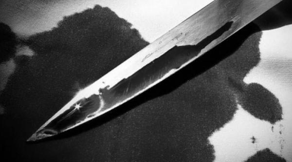 decizie incredibila a judecatorilor argeseni doi presupusi criminali ai unei familii intregi au fost achitati