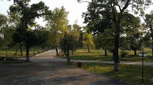 parcul padurea vedea din alexandria va fi dotat cu retea wi fi si sistem de radioficare