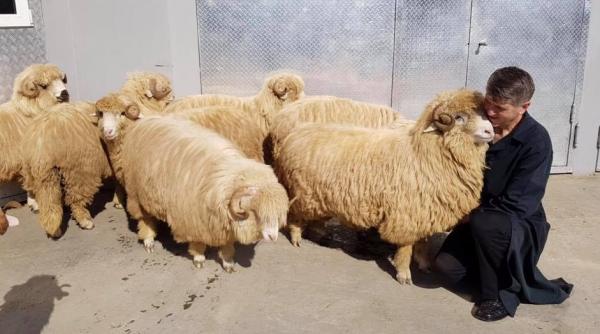 decizie definitiva pentru pomohaci vesti zdrobitoare pentru admiratorii fostului preot