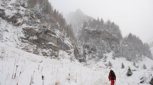 brasov pompierii intervin pentru salvarea unor animale prinse de viscol la peste 1400 de metri altitudine