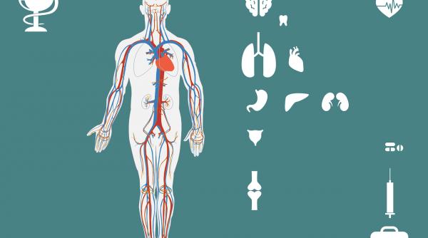 cum scapi usor de calculii renali