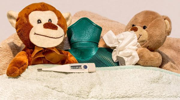 leacul perfect pentru raceala ridichea neagra