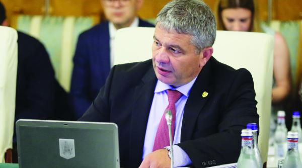 ministrul dorel bodog plagiatorul care a fost plagiat