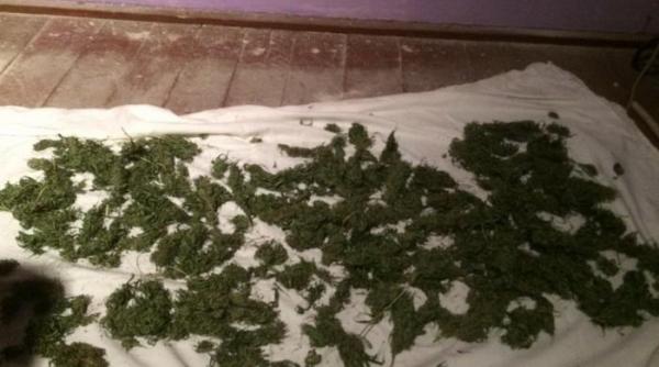 fiul fostului prim procuror din bihor retinut in urma unei razii a politistilor antidrog