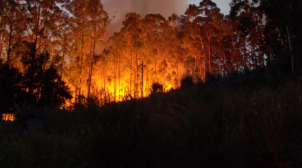 cel putin 27 de persoane au murit in urma incendiilor din portugalia