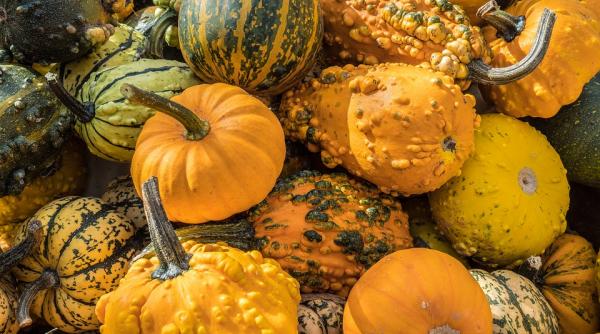 mures sezonul tartacutelor a inceput la gornesti