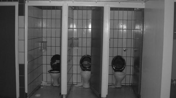 bolile la care ne expunem cand folosim o toaleta publica