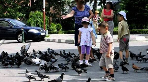 socant doi copii s au jucat cu un porumbel pana l au omorat