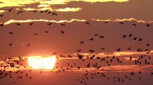 anul 2017 al doilea cel mai calduros din istoria inregistrarilor temperaturii pe terra