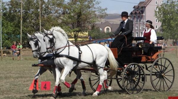 vacanta de o zi de la concurs de trasuri la curs de ceramica romana
