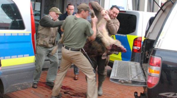 au dat buzna intr un mic orasel geman dupa care au ajuns intr o banca si au bagat groaza in oameni