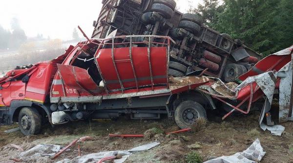 camion incarcate cu bovine rasturnat in pasul tihuta soferul ranit transportat la spital