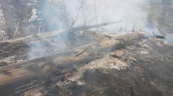 pompierii urca iar pe munte la moroieni doua focare inca fumega