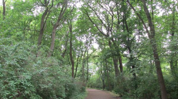 doua femei judecate pentru ca au rapit un barbat si l au lasat gol in padure