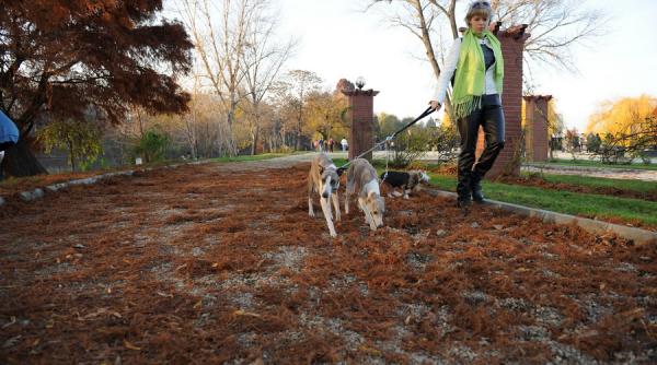 prognoza meteo pana la sfarsitul lui octombrie vremea se raceste accentuat