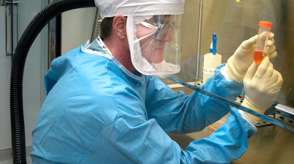 germania si bulgaria au raportat cazuri de gripa aviara