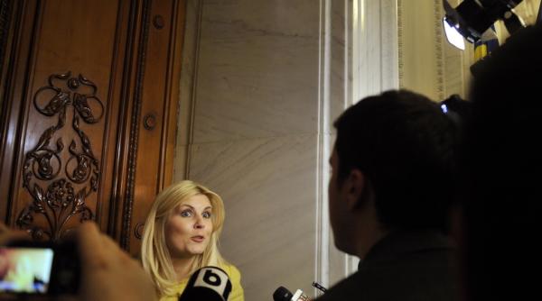 udrea dragomir paraschiv si hapau audiati la comisia de ancheta a prezidentialelor din 2009