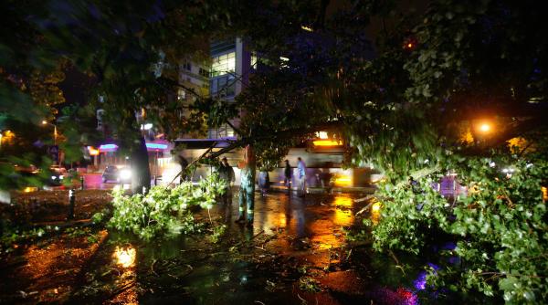 un copac a cazut peste o aripa a spitalului obregia 8 pacienti au fost mutati