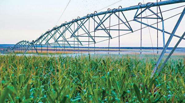 agricultura redescopera irigatiile