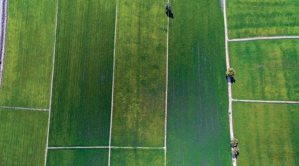 ne fuge rapid pamantul de sub picioare hectar cu hectar in asteptarea unei legi