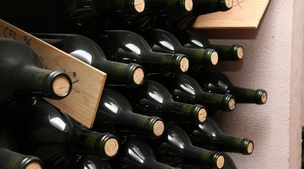 romania record mondial la cresterea productiei de vin