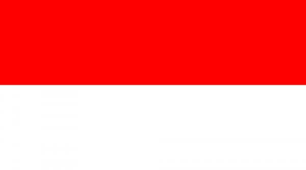 47 de morti in urma unor explozii la o fabrica de artificii din indonezia