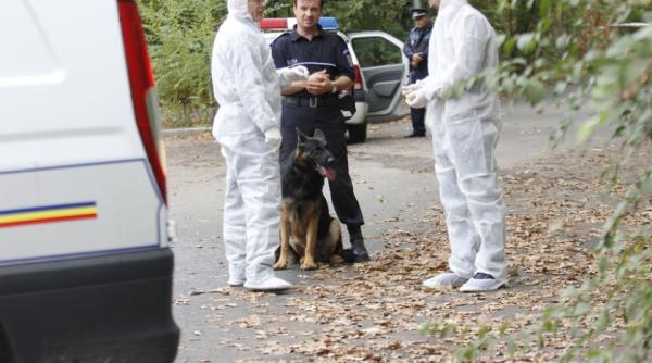 descoperire halucinanta in bihor un barbat a fost gasit intr o padure impuscat in inima