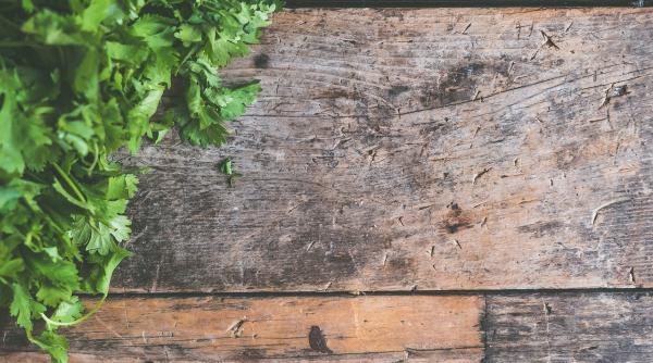 planta care detoxifica ficatul si rinichii