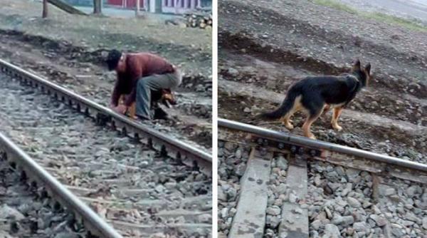 socant un batran din neamt si a legat cainele de calea ferata pentru ca s a saturat de el
