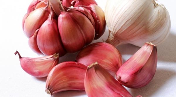 usturoiul te apara de cancer