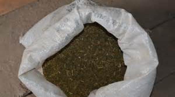 mures peste o tona de tutun si o moara de maruntit confiscate in urma unei perchezitii la ludus