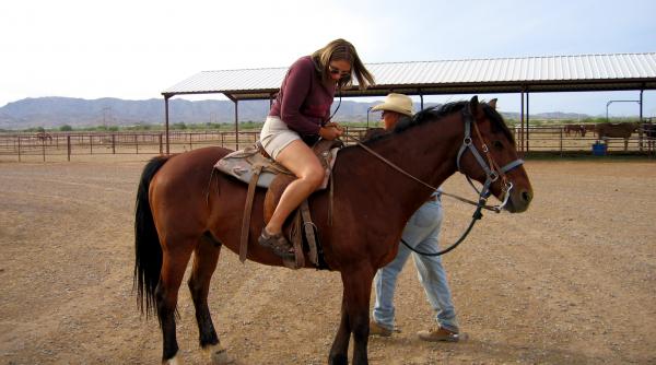 o femeie a fost arestata pentru ca a condus in stare de ebrietate un cal