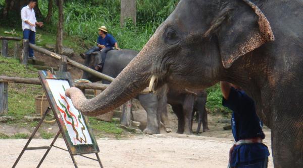 ungaria operele unui elefant care picteaza vandute la licitatie