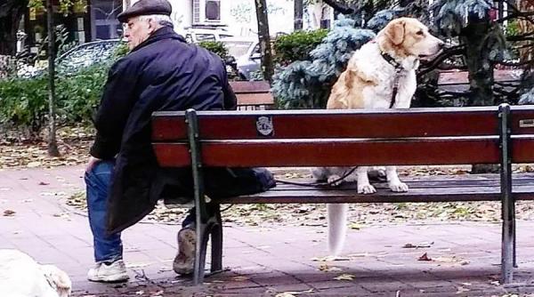 prognoza meteo pentru intervalul 6 19 noiembrie cum va fi vremea in urmatoarea perioada