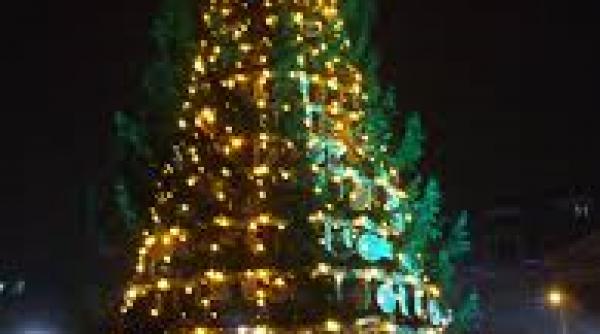 sibiu bradul de craciun a ajuns in centrul orasului