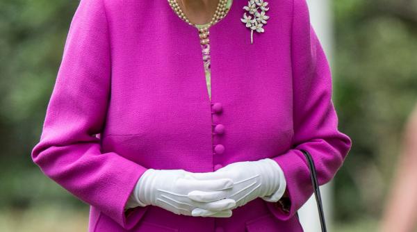 soc regina in paradisul fiscal