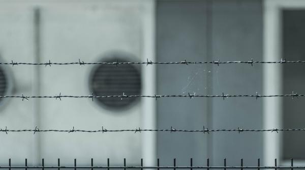 pedeapsa cu inchisoarea de pana la un an va fi executata in arest la domiciliu