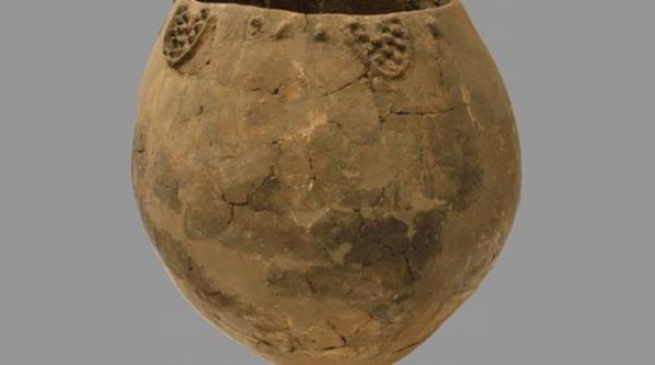 oamenii produceau vin cu 8 000 de ani in urma