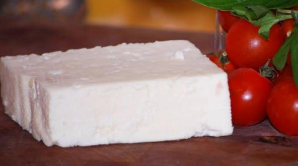 telemeaua de sibiu va fi un produs cu indicatie geografica protejata