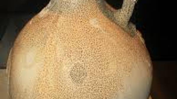 urmele celui mai vechi vin in vase de acum 8 000 de ani din georgia