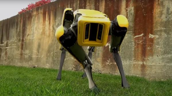 video un nou robot care se misca precum un catel prezentat intr un scurt filmulet de boston dynamics